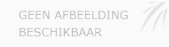 Afbeelding › On Point Legal