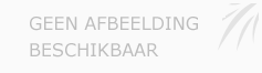 Afbeelding › Advocaten.nl